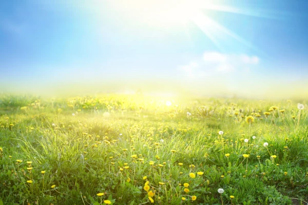 Image for article titled Spring Newsletter 2025